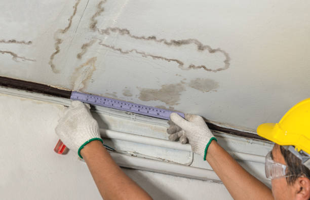 Reliable Mold Remediation contractor in Fountain, MI by Local Water Damage Repair